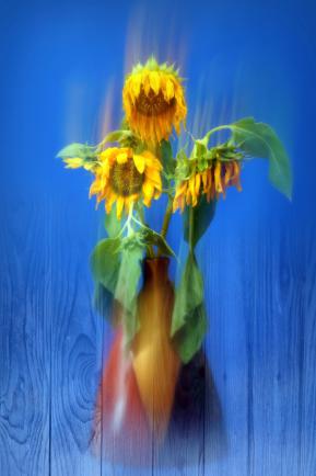 VAN GOGH-2360-22-AA