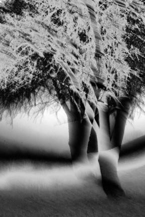 ICM-MAR25-107-55-22-AA