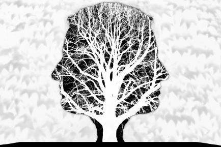 PORTRET-WOOD-2070-33-AA2