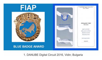 1. danube circuit blue badgeDD