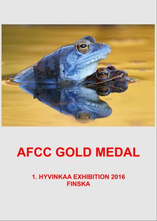 AFCC GOLD FINSKAAA