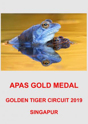 APAS GOLD 4AA