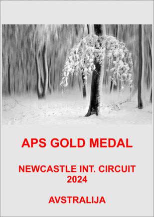 APS GOLD AVSTRALIJA-AA