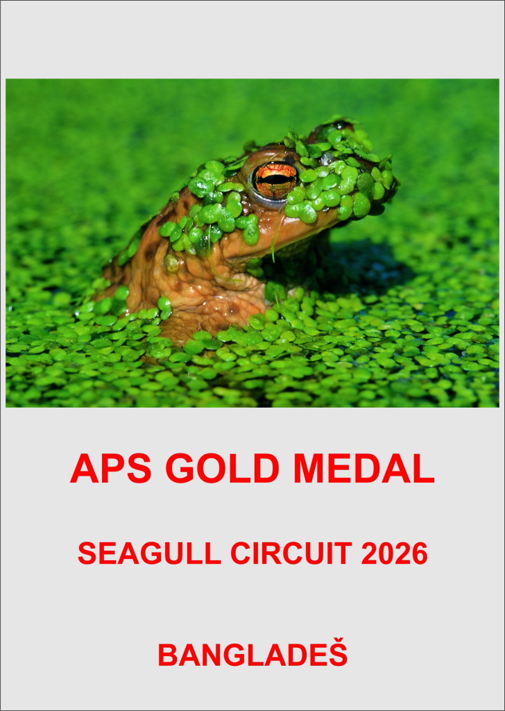 APS GOLD BAN-POM