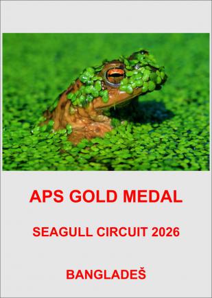 APS GOLD BAN-POM