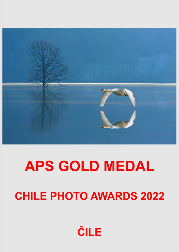 APS GOLD-CHILE-AA