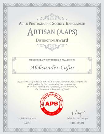 Aleksander Cufar-AA