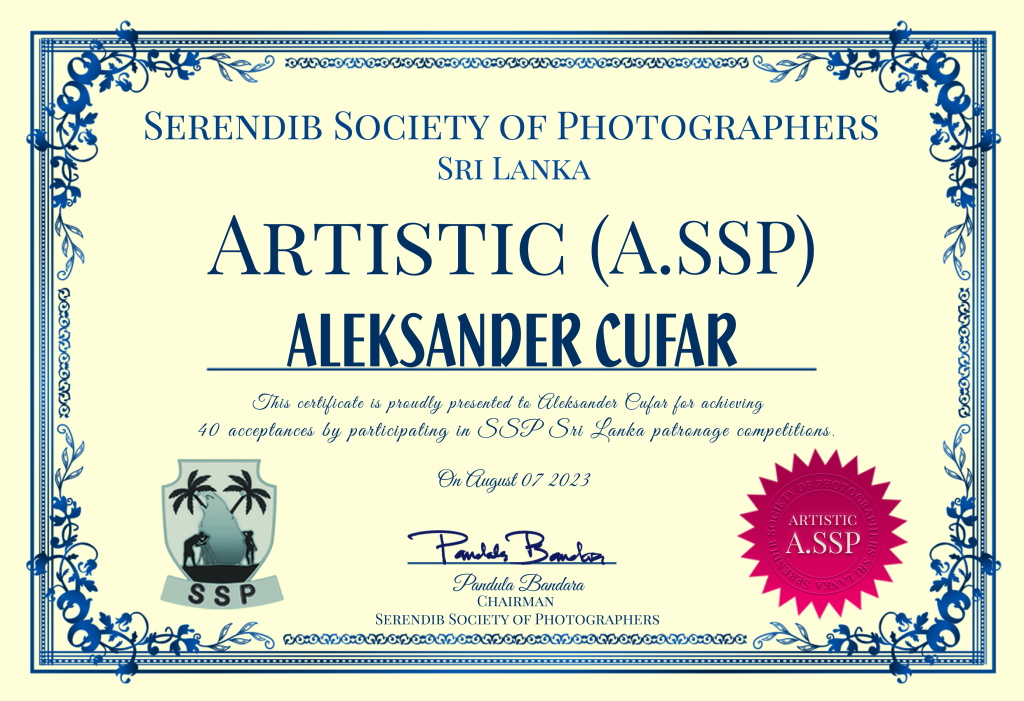 Aleksander Cufar ASSP-2-22-AA