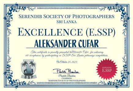 Aleksander Cufar ESSP-3-AA