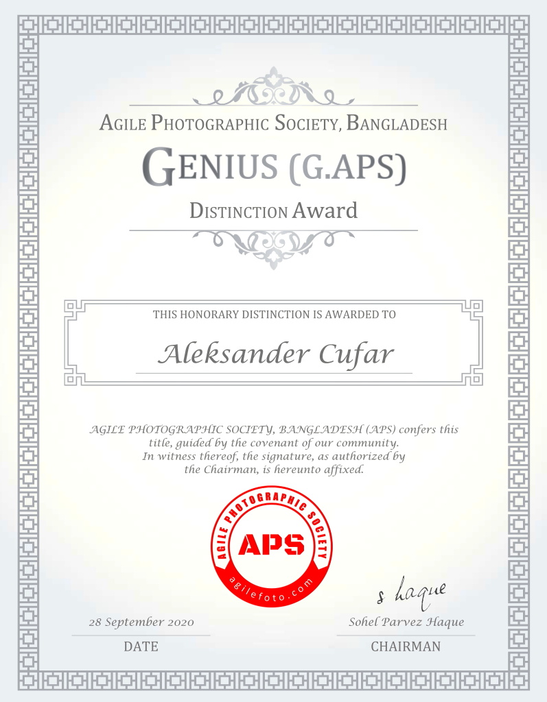 Aleksander Cufar - Genius ( G -2DD