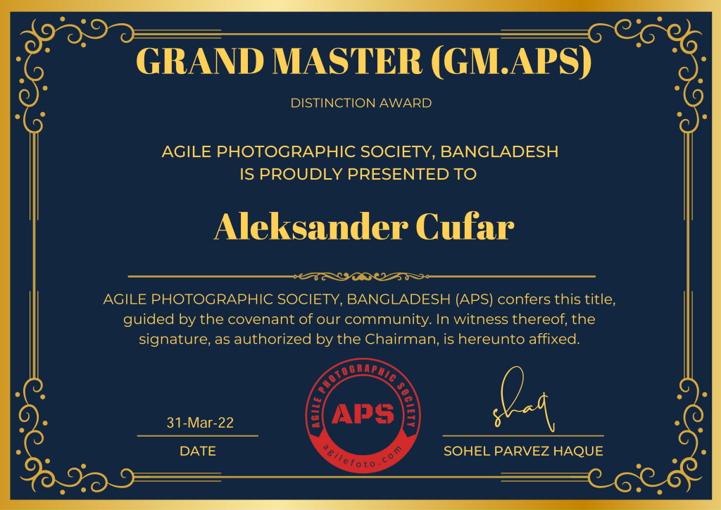 Aleksander Cufar_ GRAND MASTER (GM-AA22
