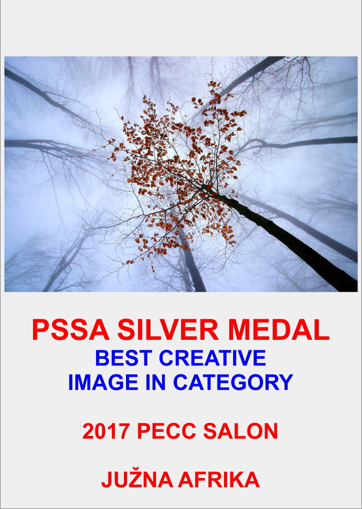 BEST CREATIV  SILVER 2AA