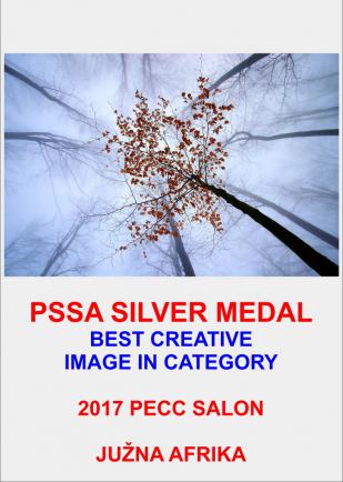 BEST CREATIV  SILVER 2AA