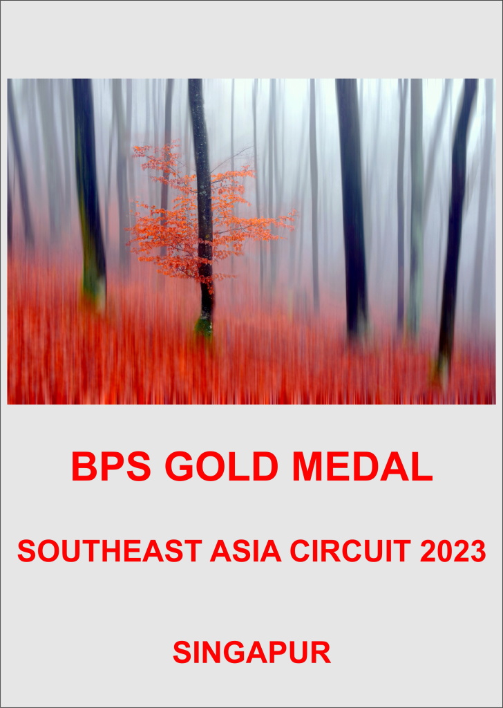BPS GOLD SINGAPUR-AA