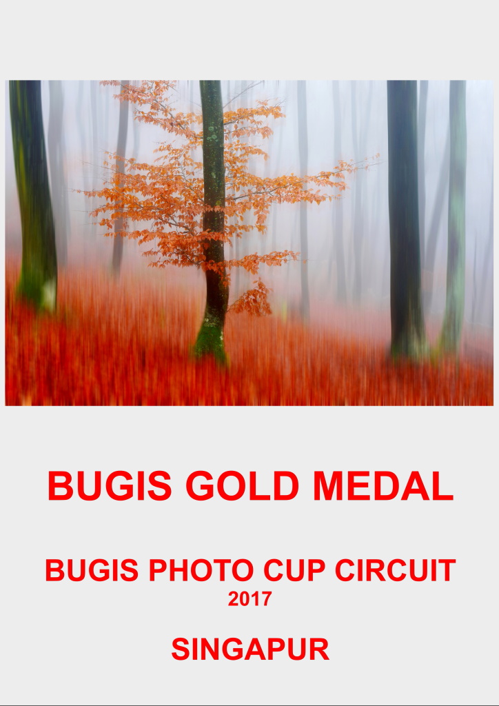 BUGIS GOLD SINGAA