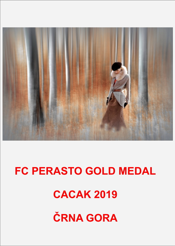 CACAK GOLD 19AAa
