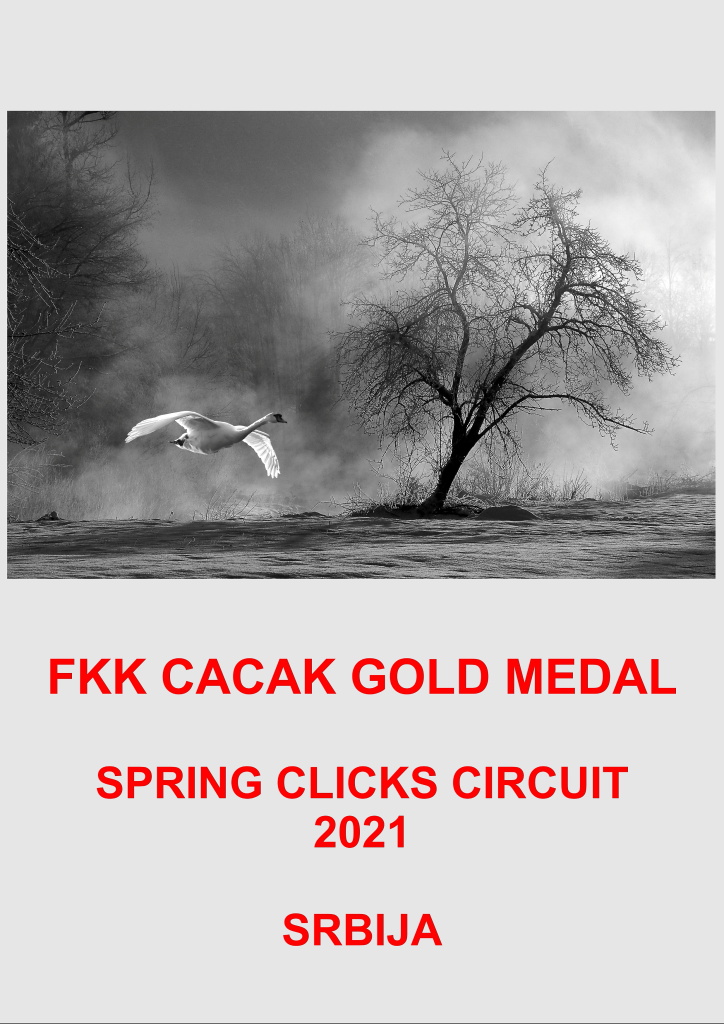 CACAK GOLD SPRING CLICKS 21-AA