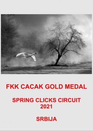CACAK GOLD SPRING CLICKS 21-AA