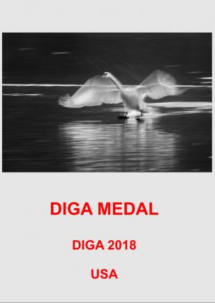 DIGA MEDAL 1AA