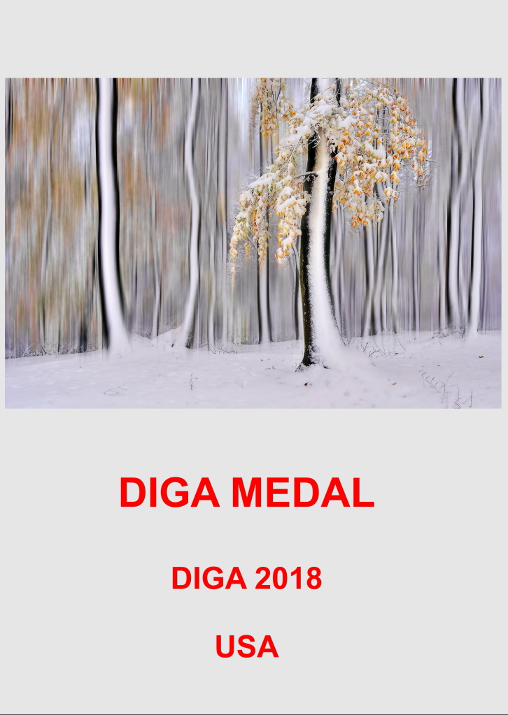 DIGA MEDAL 2AA