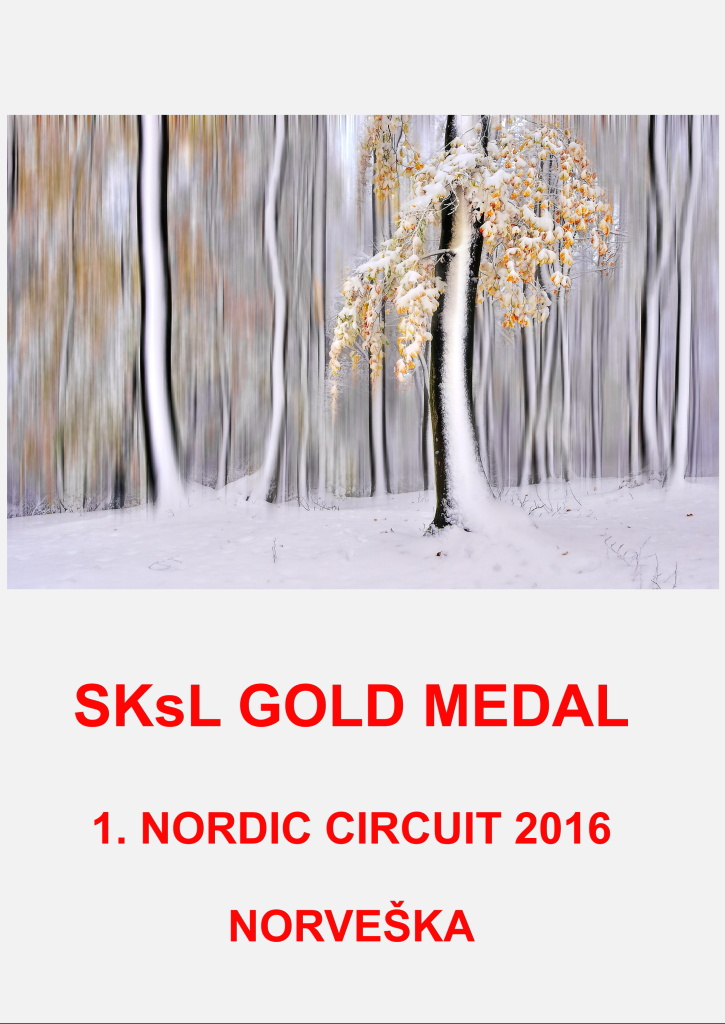 DPA GOLD SKsL NORVESKADD