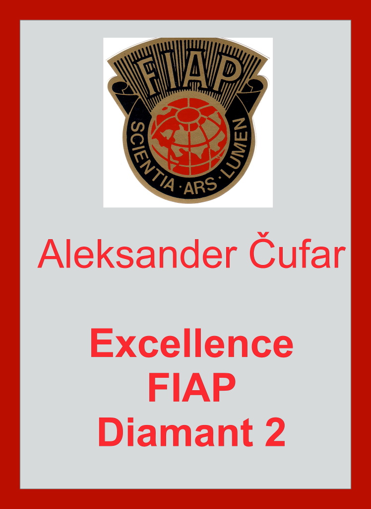 EFIAP DIAMANT 2