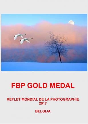 FBP GOLD BELGIJA 17DD