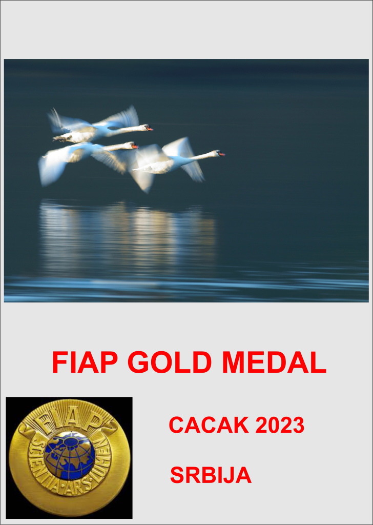 FIAP GM CACAK 2023-AA