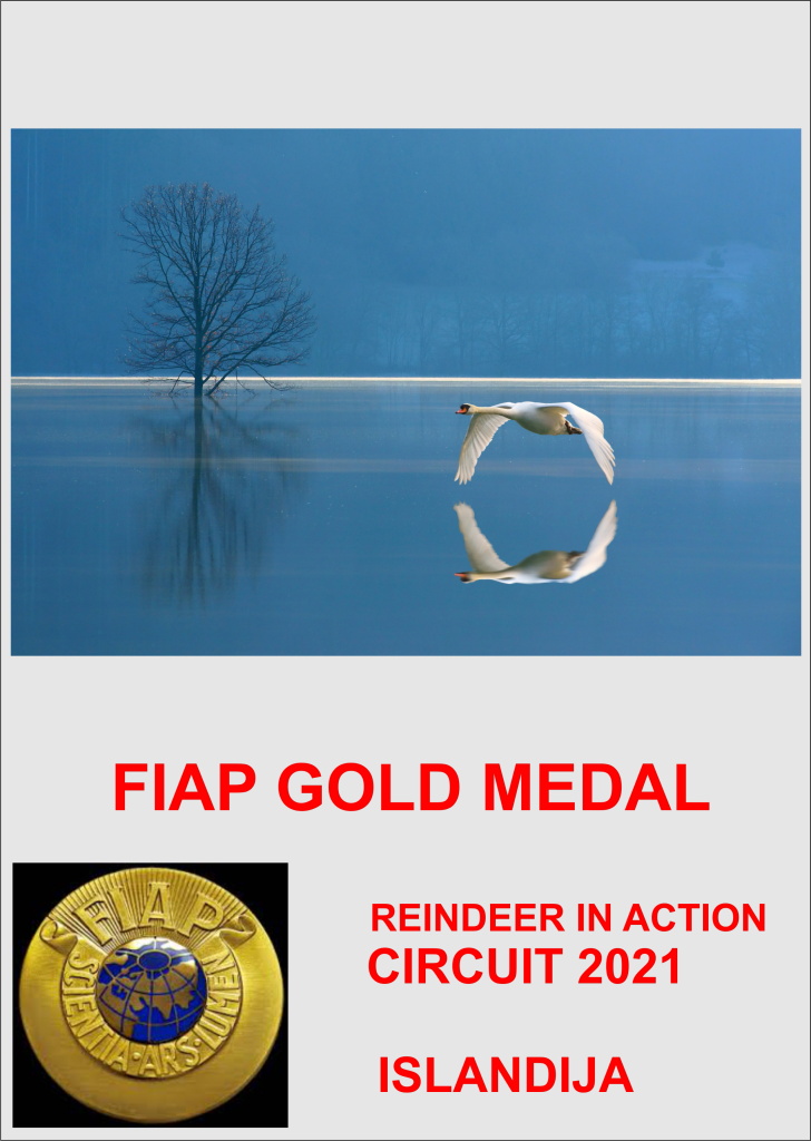 FIAP GOLD ISLANDIJA-22AA