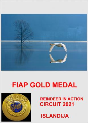 FIAP GOLD ISLANDIJA-22AA