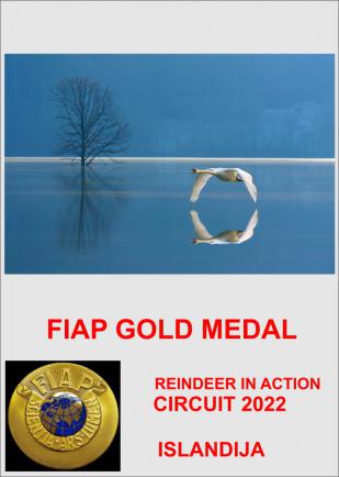 FIAP GOLD Islandija 2022AA