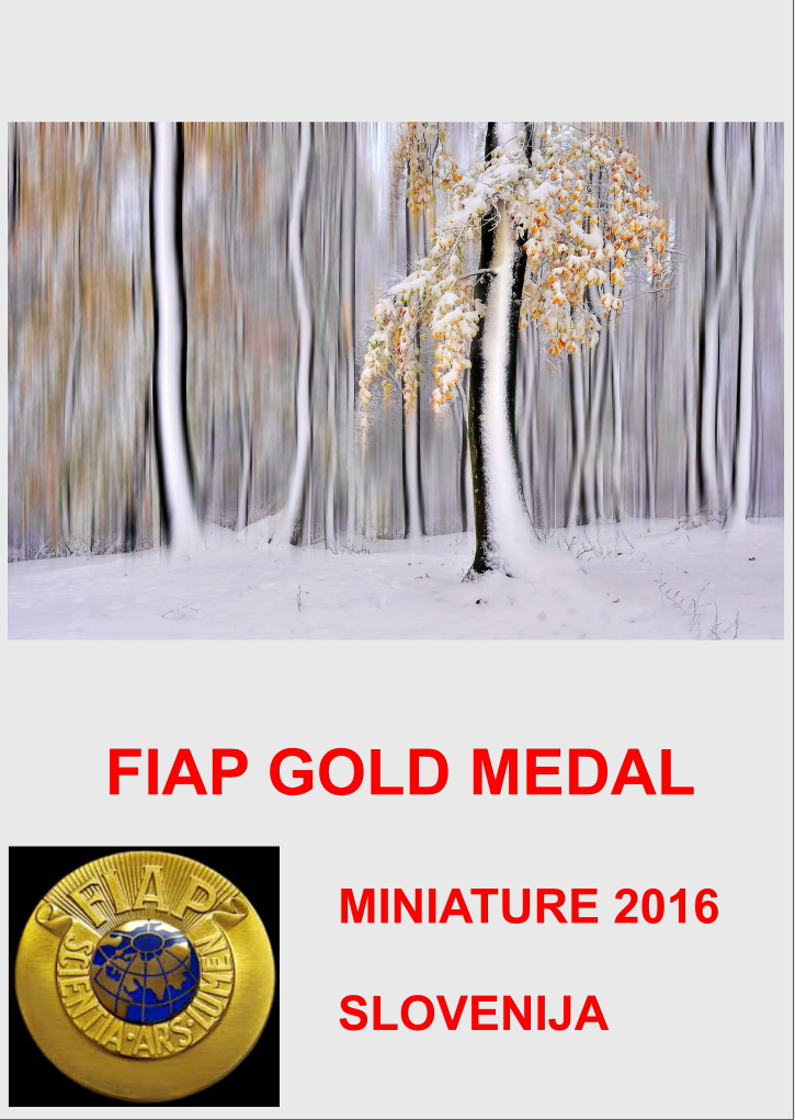 FIAP GOLD MINIATURE 16DD