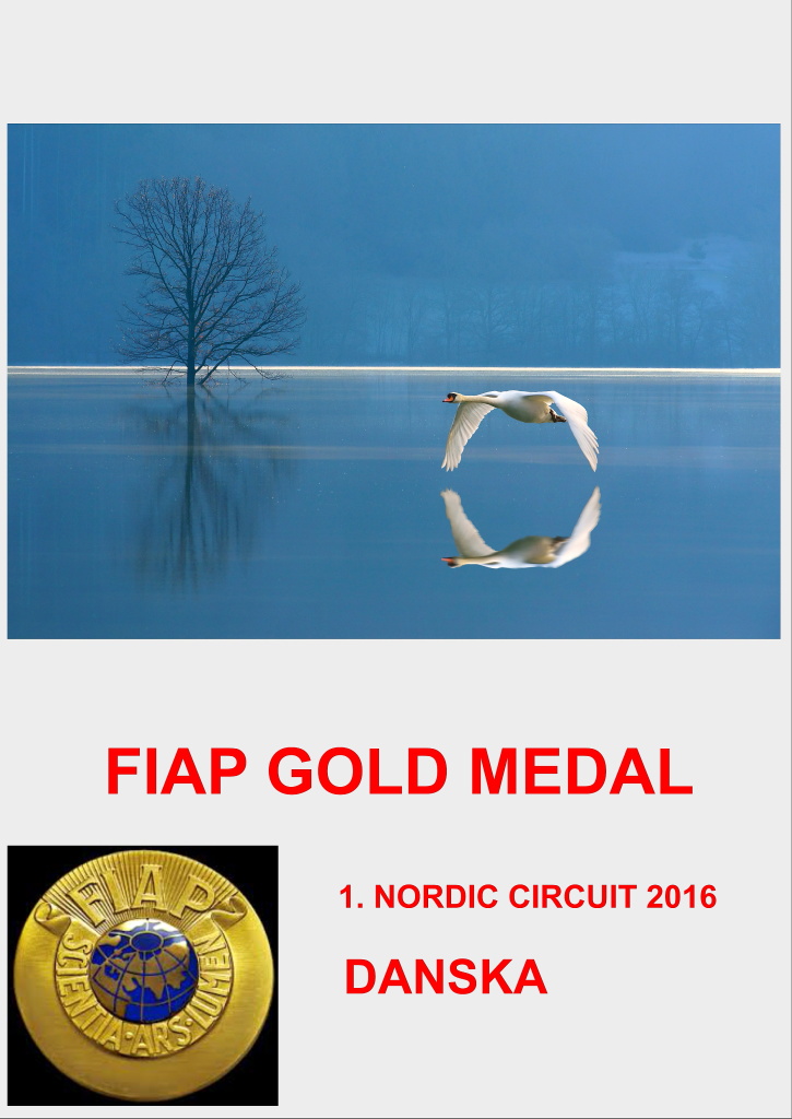 FIAP GOLD NORDIC DANSKADD