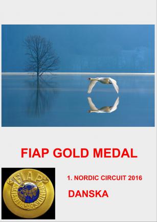 FIAP GOLD NORDIC DANSKADD