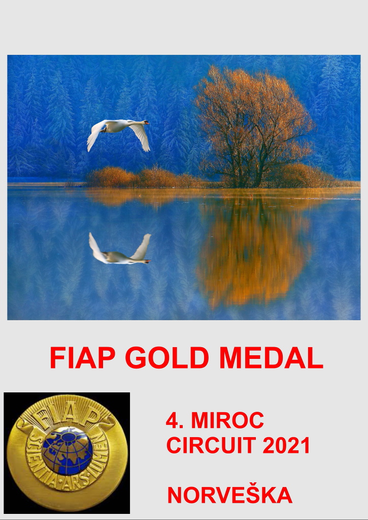 FIAP GOLD NORVESKA-AA