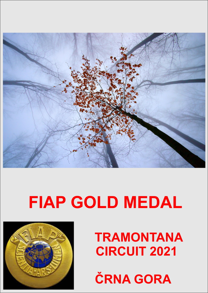 FIAP GOLD TRAMONTANA21AA