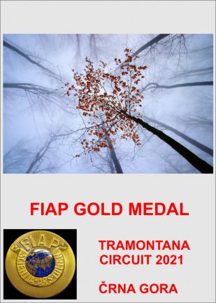 FIAP GOLD TRAMONTANA21AA