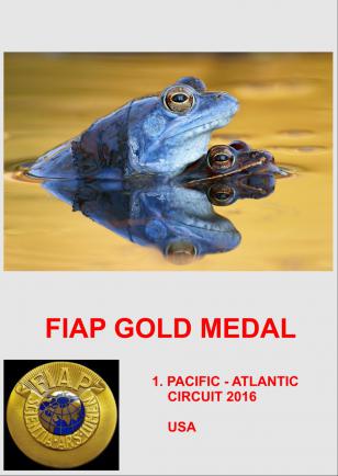 FIAP GOLD USADD