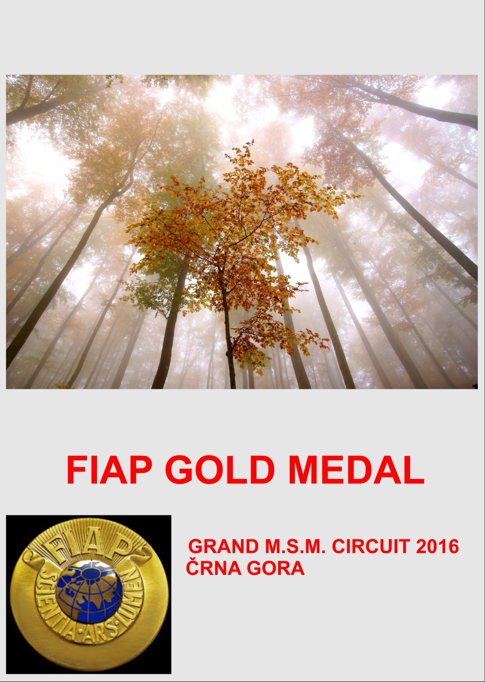 FIAP GOLD WOOD W 100DD