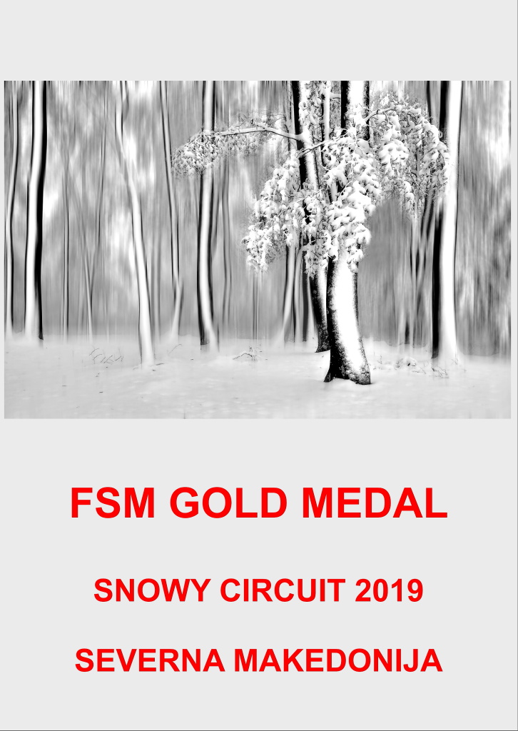 FSM GOLD SMAA