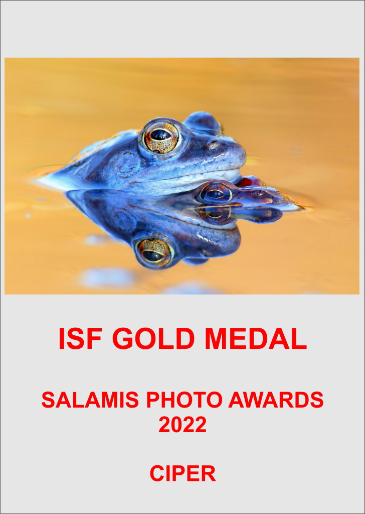 ISF GOLD CIPERAA