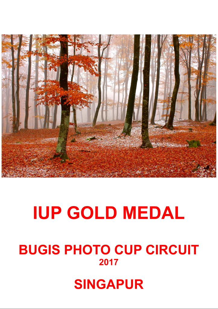 IUP GOLD SINGAA