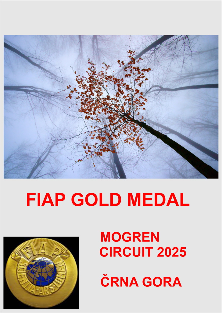MOGREN FGM-AA