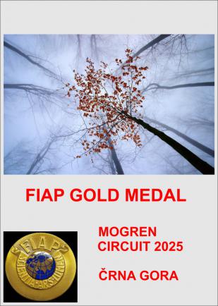 MOGREN FGM-AA
