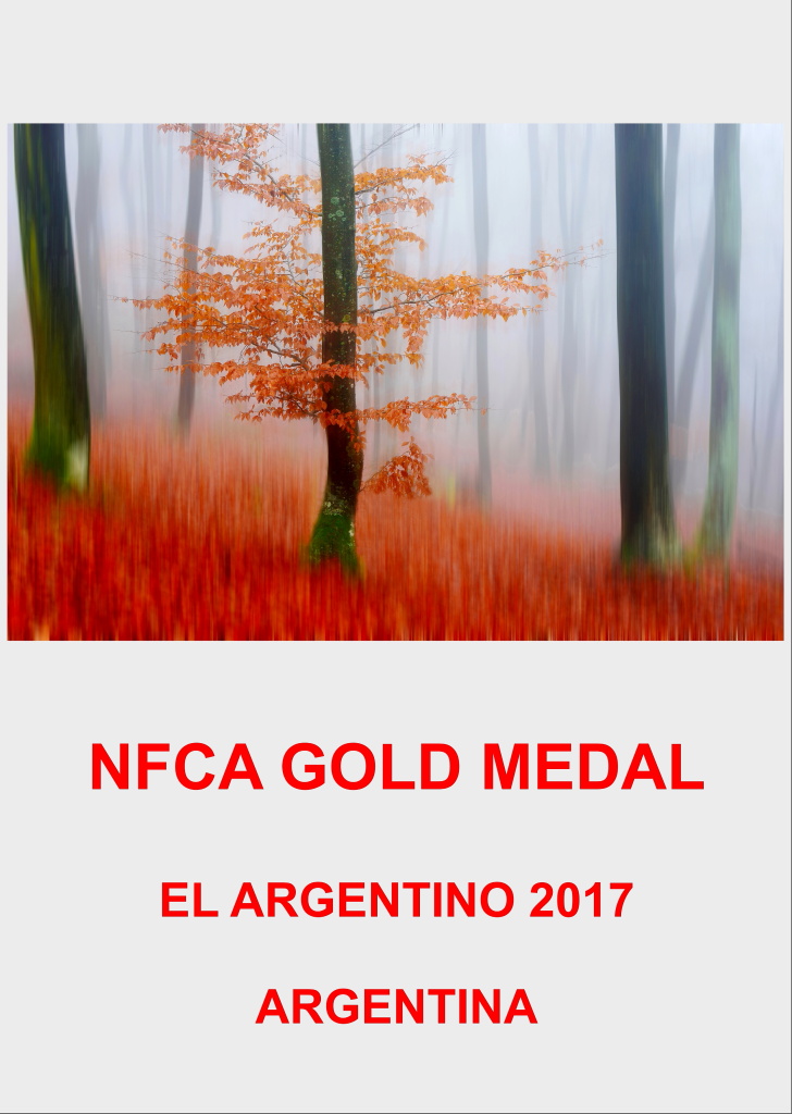 NFCA GOLD OSNOVAAA