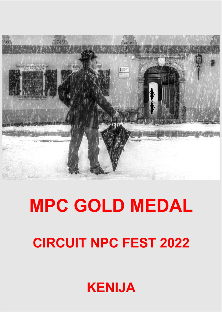 NPC GOLD-AA