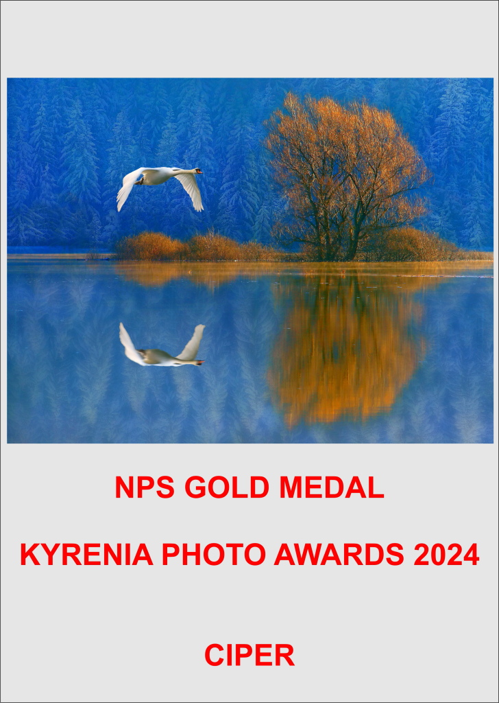 NPS GM CIPER24-AA