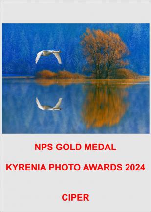 NPS GM CIPER24-AA