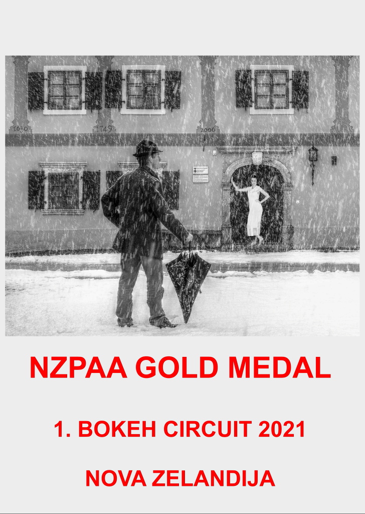 NZPAA GOLD-AA