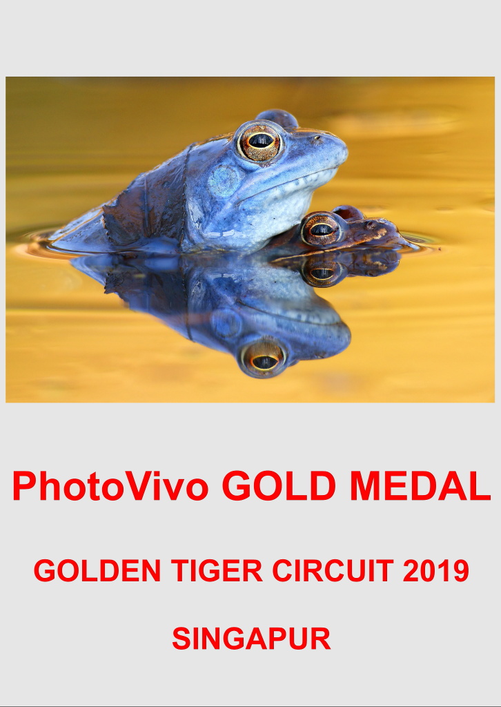 PHOTOVIVO GOLD 3AA